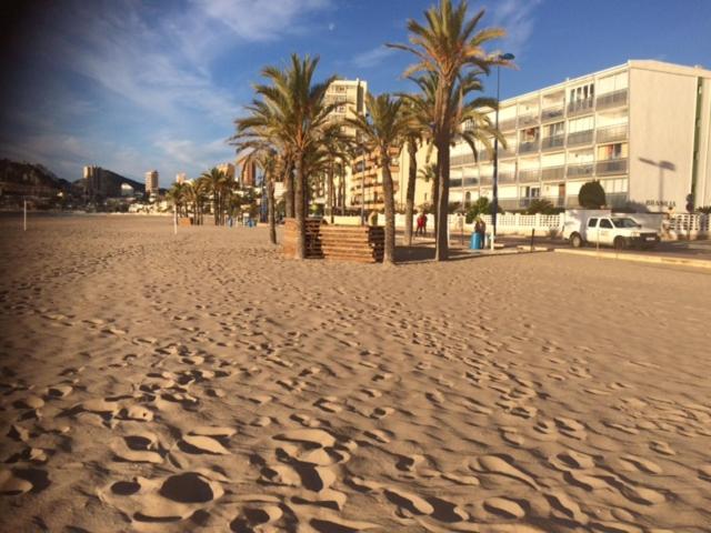 Apartment Benipenthouse Accommodations Benidorm
